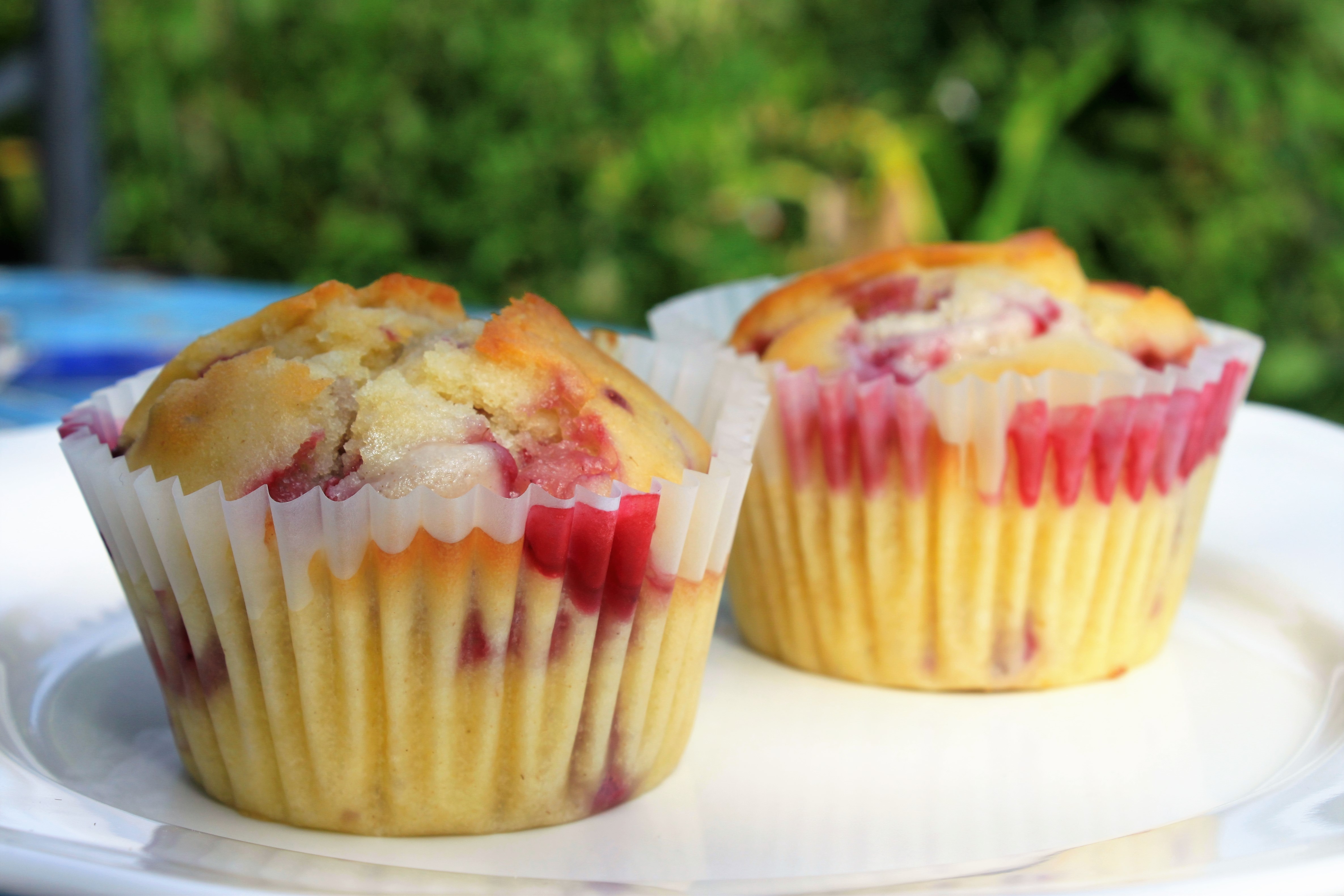 Raspberry and White Chocolate Muffins - Rachel&amp;#39;s Creative Cooking